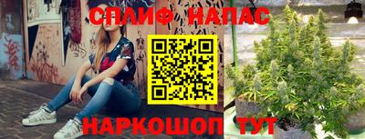 PSILOCYBIN Татарск
