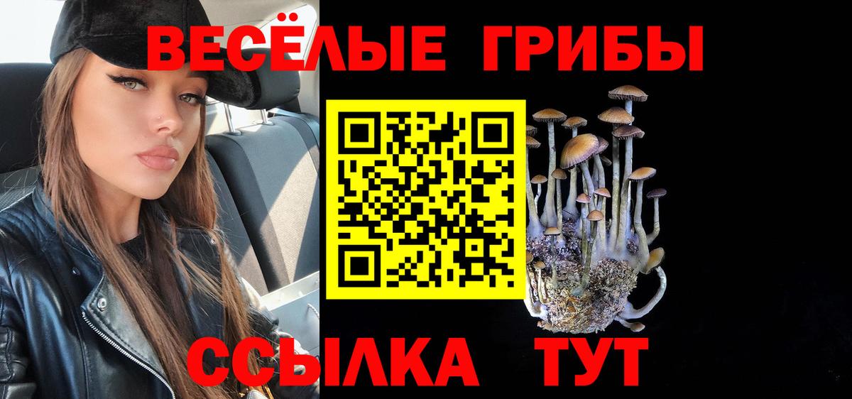 Галлюциногенные грибы Psilocybine cubensis Аша